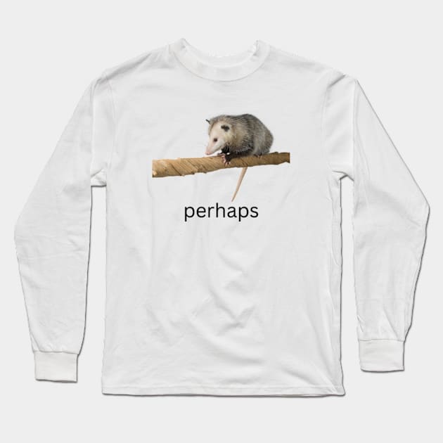 perhaps possum Long Sleeve T-Shirt by cloudviewv2